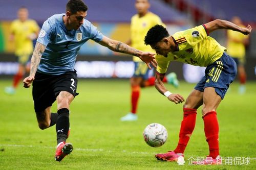 美洲杯-哥伦比亚4-2乌拉圭的相关图片